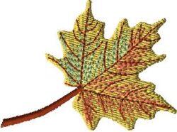 Maple Leaf embroidery