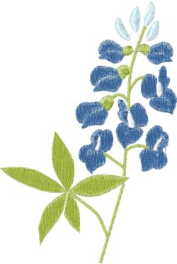 Giddyup! Bluebonnet
